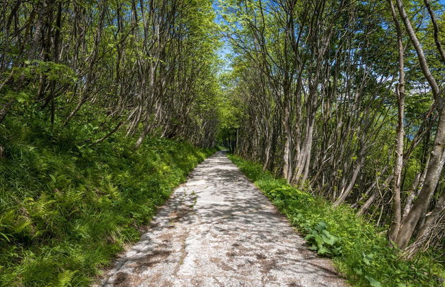 Residenza La Parusciola - Foto 33