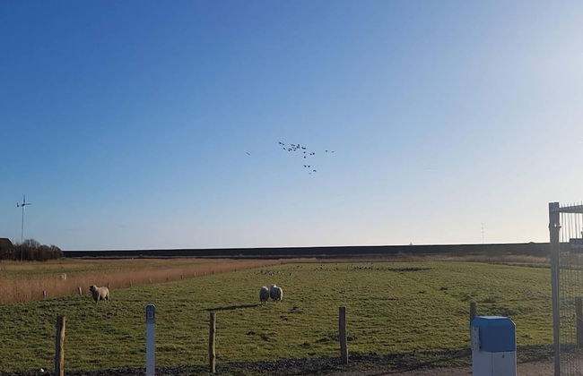 Exklusiv Eingerichtetes Ferienhaus in Strandnahe - Foto 38