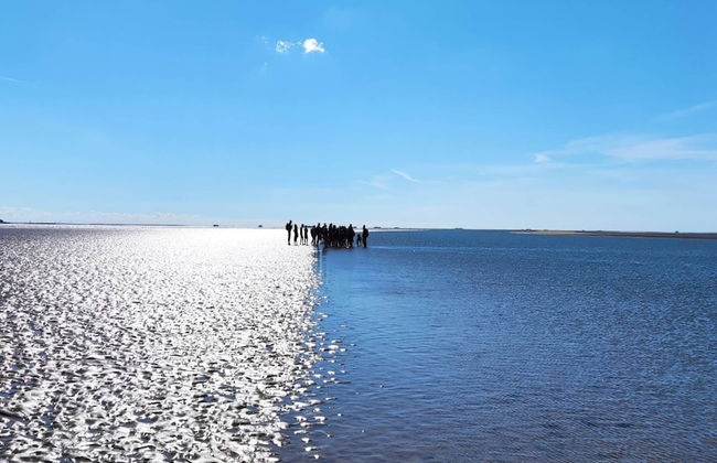 Exklusiv Eingerichtetes Ferienhaus in Strandnahe - Foto 35