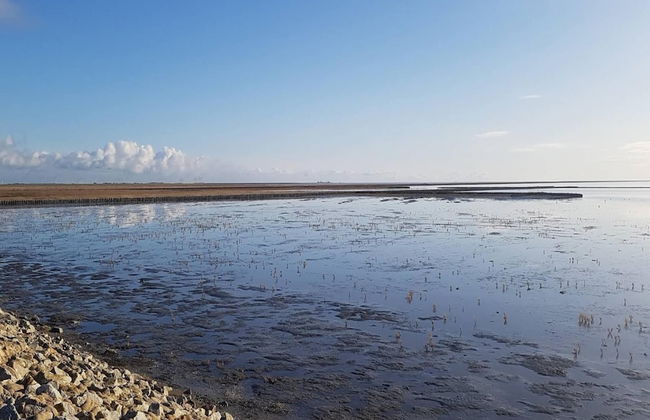 Exklusiv Eingerichtetes Ferienhaus in Strandnahe - Foto 27