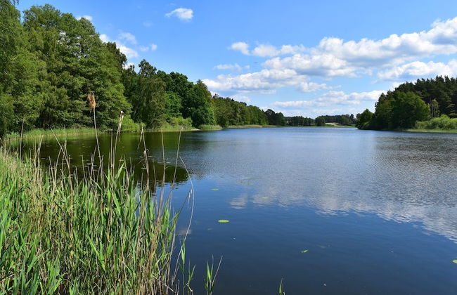 Ferienhaus am Garder See Inselblick - Foto 40
