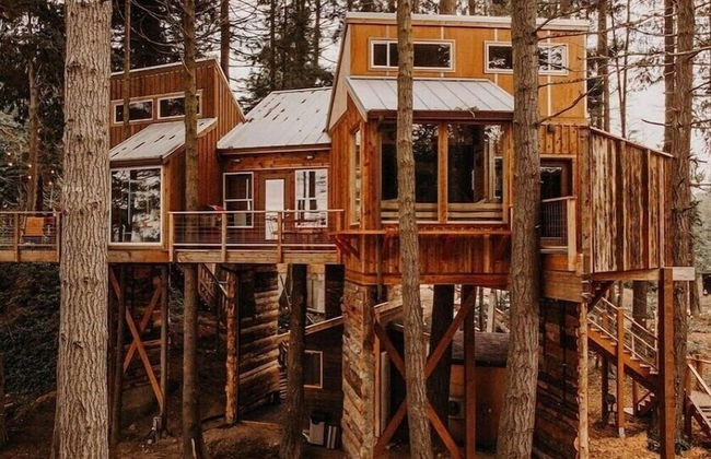 Treehouse over the water - Eagle's Nest - Photo 9