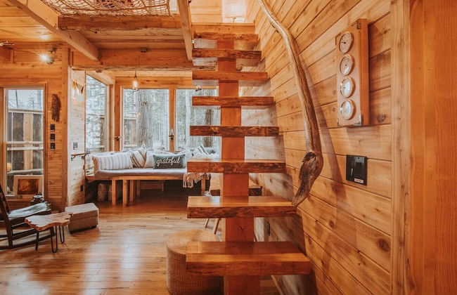 Treehouse over the water - Eagle's Nest - Photo 4