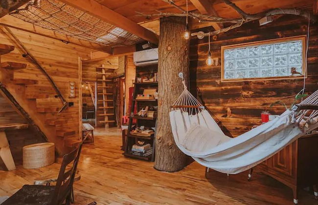 Treehouse over the water - Eagle's Nest - Photo 8