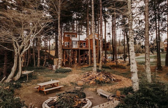 Treehouse over the water - Eagle's Nest - Photo 1
