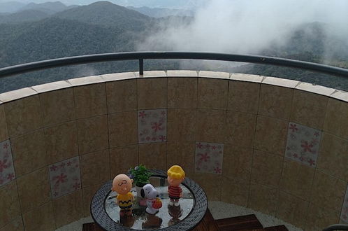 Photo 47 - CloudView Snoopy Theme, Golden Hills Resort Genting, Genting Highlands