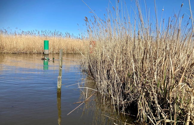 6 Pers House Marijke With Winter Garden and Direct Access to the Lauwersmeer - Foto 48