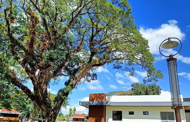 Aurora Villas and Cabin Resort - Foto 57