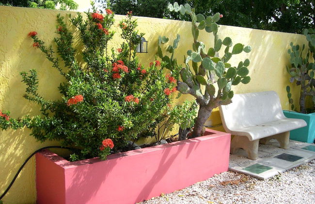 Happy Holiday Homes - Photo 7