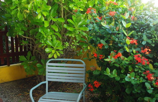 Happy Holiday Homes - Photo 8