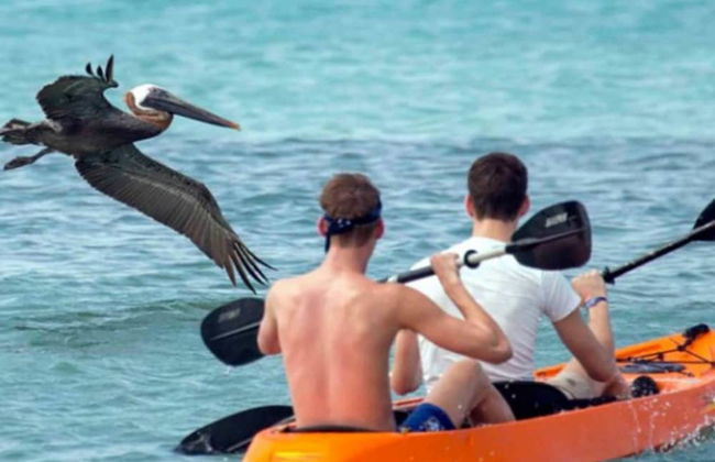 Hamlet Oasis Resort - Photo 26