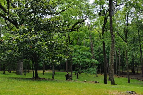 Photo 34 - Bean Creek Cabins