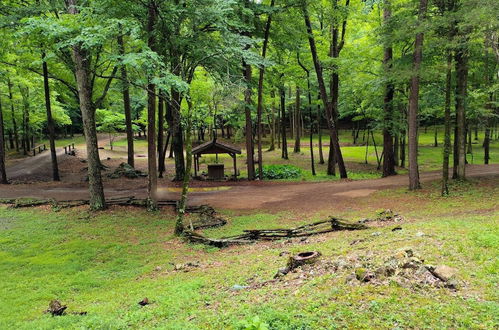 Foto 52 - Bean Creek Cabins