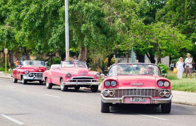 Luxury 2 Bedrooms Ivette's Apartment - Foto 36