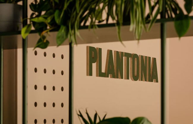 Plantonia - Foto 6