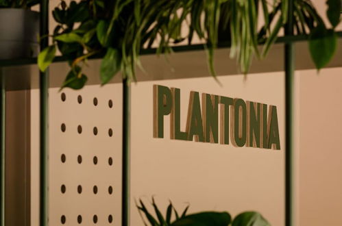 Photo 6 - Plantonia