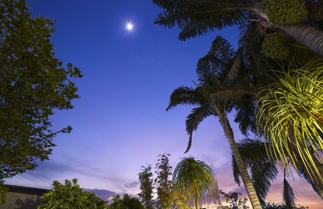 Gorgeous Family Home-Fully Fenced & Toys - Photo 41