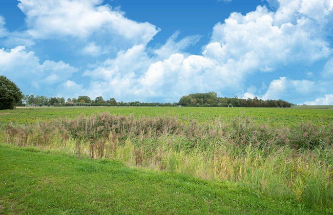 Holiday Home in Scherpenisse Near Nature Reserve - Foto 70