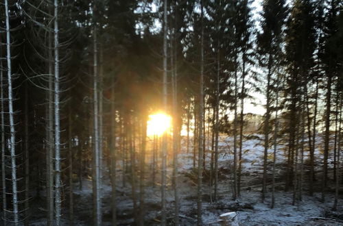 Photo 36 - Holiday Home Near Harzgerode With Whirlpool