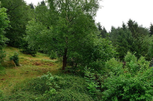 Photo 23 - Apartment Near Willingen With Private Terrace