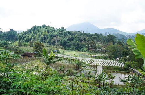 Photo 39 - OYO Homes 91006 Eco Tourism Desa Cibodas Areng 5 Syariah