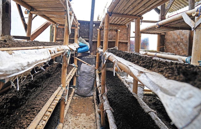 OYO Homes 91006 Eco Tourism Desa Cibodas Areng 5 Syariah - Foto 49