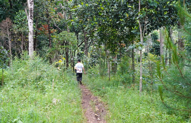 OYO Homes 91006 Eco Tourism Desa Cibodas Areng 5 Syariah - Foto 47