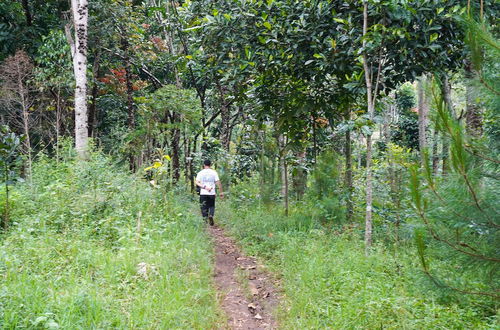 Photo 47 - OYO Homes 91006 Eco Tourism Desa Cibodas Areng 5 Syariah