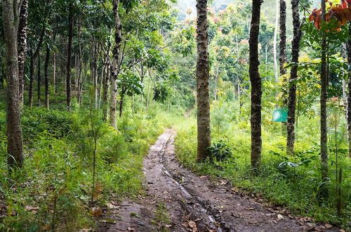 Photo 34 - OYO Homes 91006 Eco Tourism Desa Cibodas Areng 5 Syariah