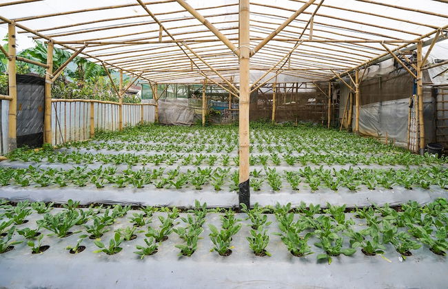 OYO Homes 91006 Eco Tourism Desa Cibodas Areng 5 Syariah - Foto 25