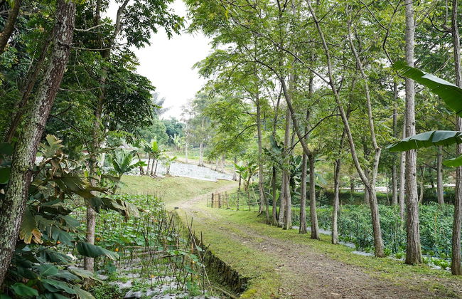 OYO Homes 91006 Eco Tourism Desa Cibodas Areng 5 Syariah - Foto 26