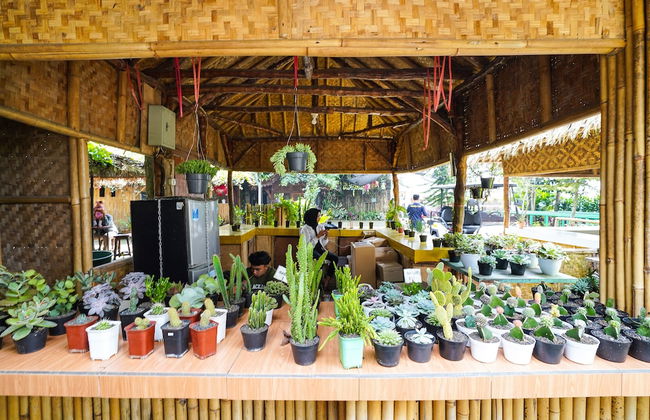 OYO Homes 91006 Eco Tourism Desa Cibodas Areng 5 Syariah - Foto 33