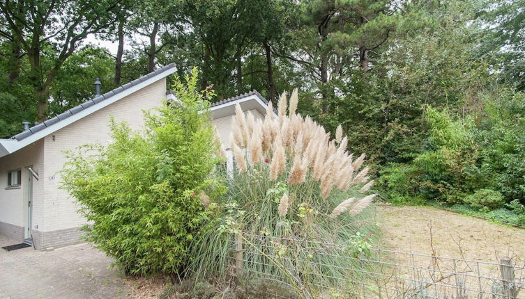 Photo 1 - Elite Holiday Home in North Holland near Forest