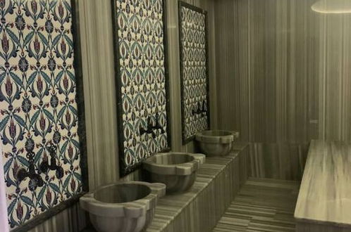 Photo 41 - Luxurious Studio Near Mall of Istanbul