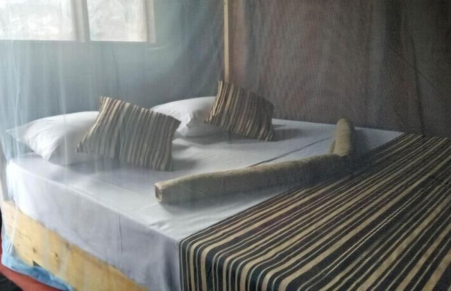Dolphin Bay Cabana Resort - Foto 6