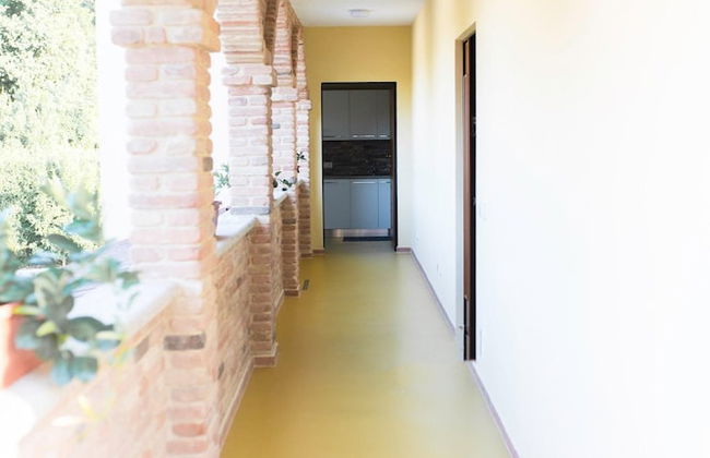 Tenuta del Barone - Foto 16