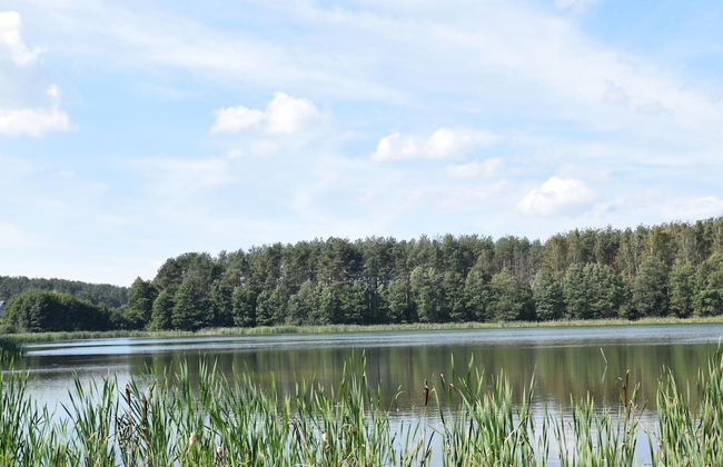 Holiday Home, Niesiolowice - Foto 12