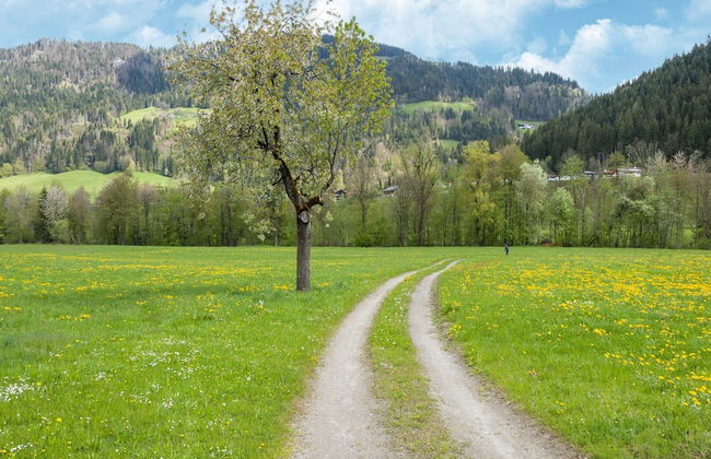 Property in Kirchbichl - Foto 66