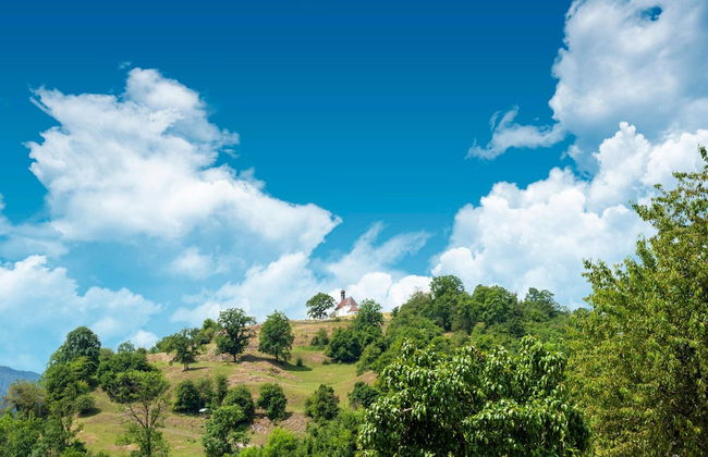 Property in Kirchbichl - Foto 70