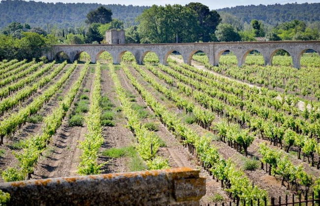 Residence du Chateau de Jouarres, Azille - Studio 2 Pers. With Balcony - Photo 61
