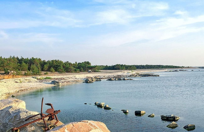 4 Person Holiday Home in Gotlands.tofta - Foto 62