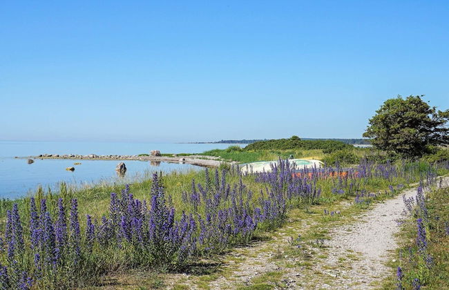 4 Person Holiday Home in Gotlands.tofta - Foto 6