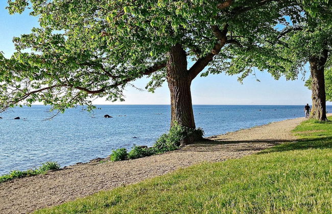 4 Person Holiday Home in Gotlands.tofta - Foto 75