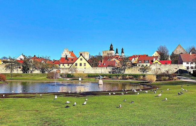 4 Person Holiday Home in Gotlands.tofta - Foto 11