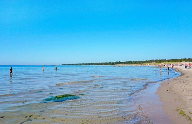 4 Person Holiday Home in Gotlands.tofta - Foto 43