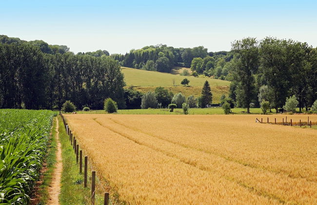 Lovely Farmhouse in Wijlre With Forest Nearby - Foto 55