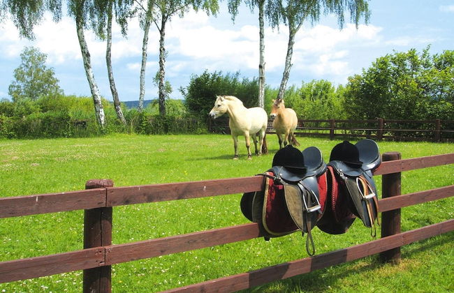 Seepark Heidenholz, Plau am See - Foto 66