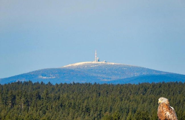 Doppelhaushaelfte in Hasselfelde - Photo 16