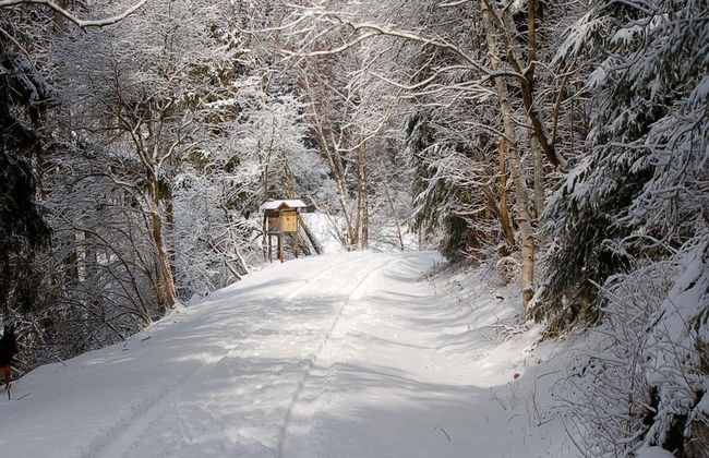 Doppelhaushaelfte in Hasselfelde - Photo 11