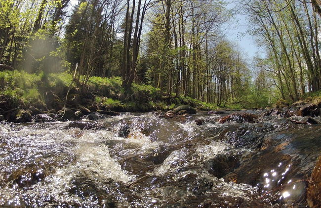 Doppelhaushaelfte in Hasselfelde - Photo 15